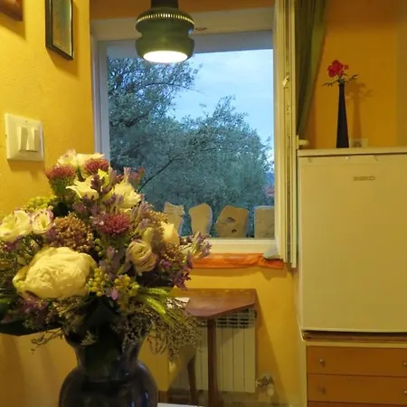 Apartment Bluegarden Apartment Piran